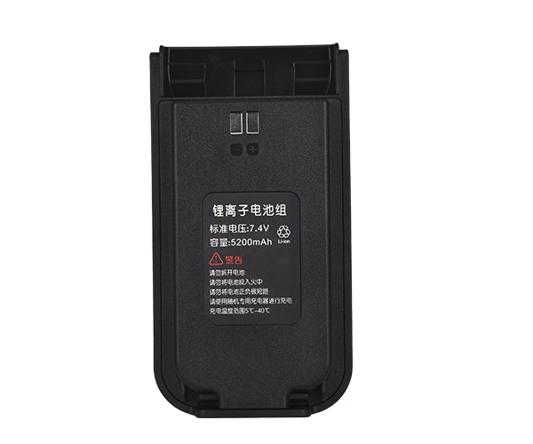 A10 電池
